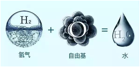 富氫水的功效與誤區(qū) 富氫水的功效與誤區(qū)