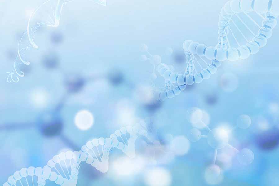 孫學(xué)軍教授:氫氣作用靶點(diǎn)或作用機(jī)制.jpg 孫學(xué)軍教授:氫氣作用靶點(diǎn)或作用機(jī)制.jpg