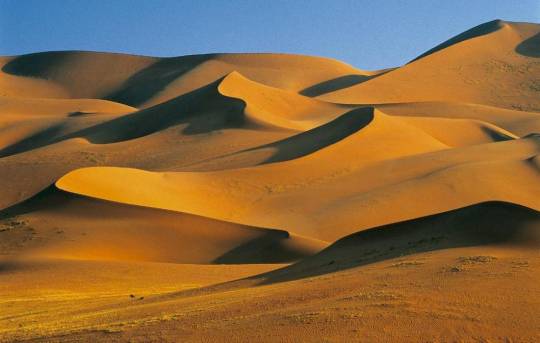 從沙漠空氣中提取水:獨(dú)特的10GW綠色氫項(xiàng)目將于2022年開始建設(shè)