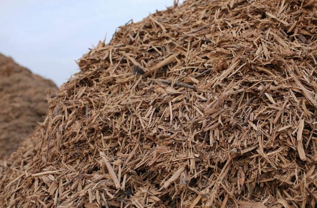 加州木材廢料制氫工廠,每年生產(chǎn)700萬公斤負(fù)碳?xì)?jpg 加州木材廢料制氫工廠,每年生產(chǎn)700萬公斤負(fù)碳?xì)?jpg